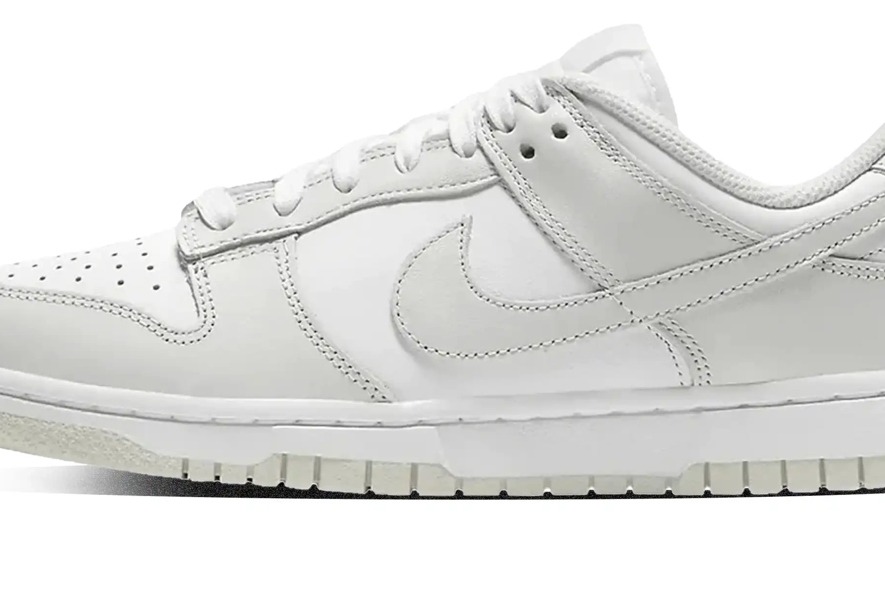 W Photon Nike Low Dunk Dust 0525